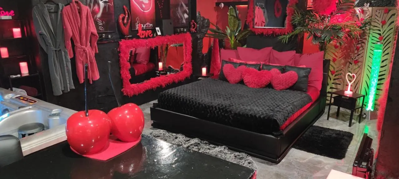 Loft Romantique Hammam Spa Privatif Playroom Grenoble 0*,